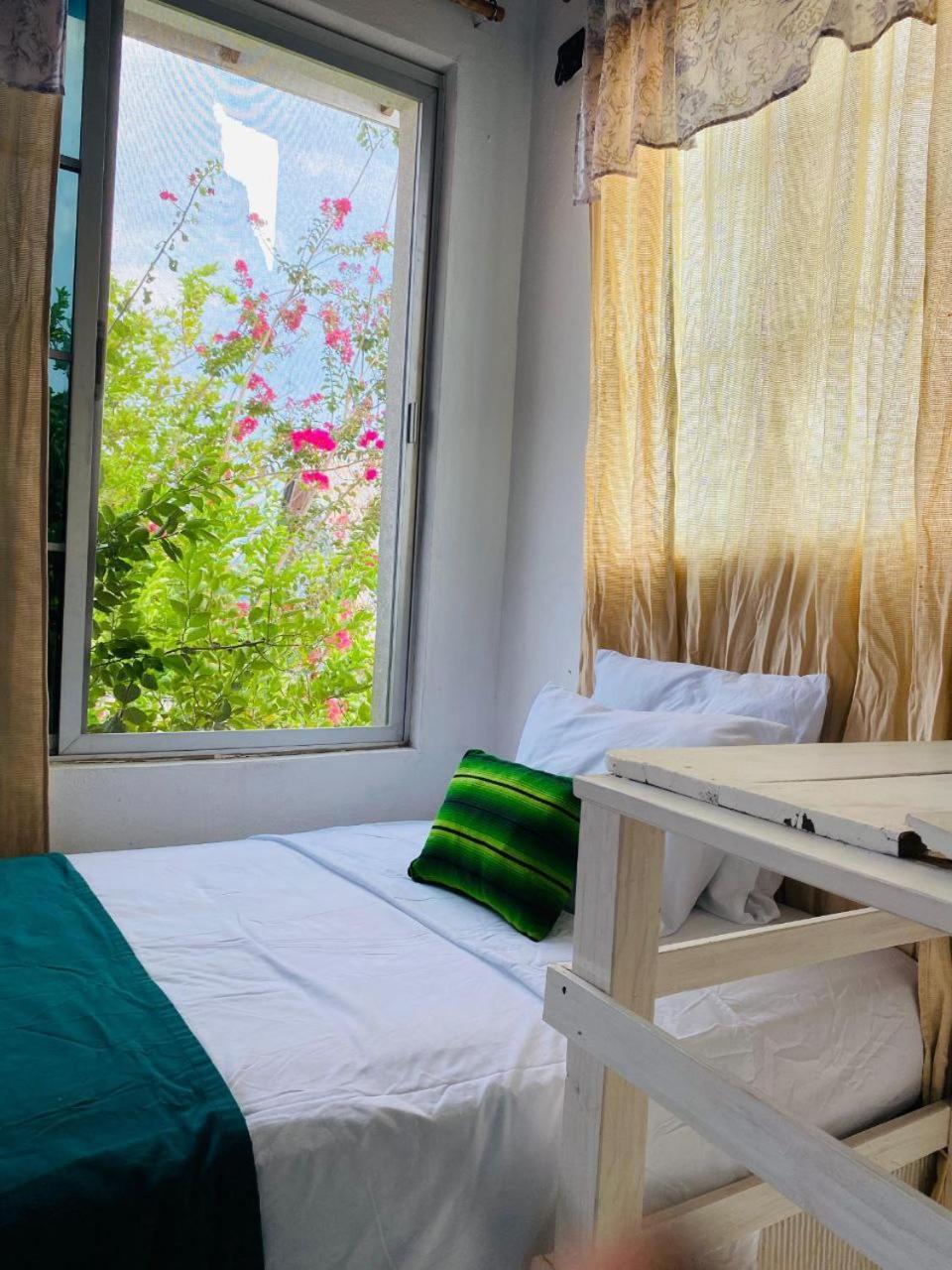 Casa Mima Hotel Flores Eksteriør billede