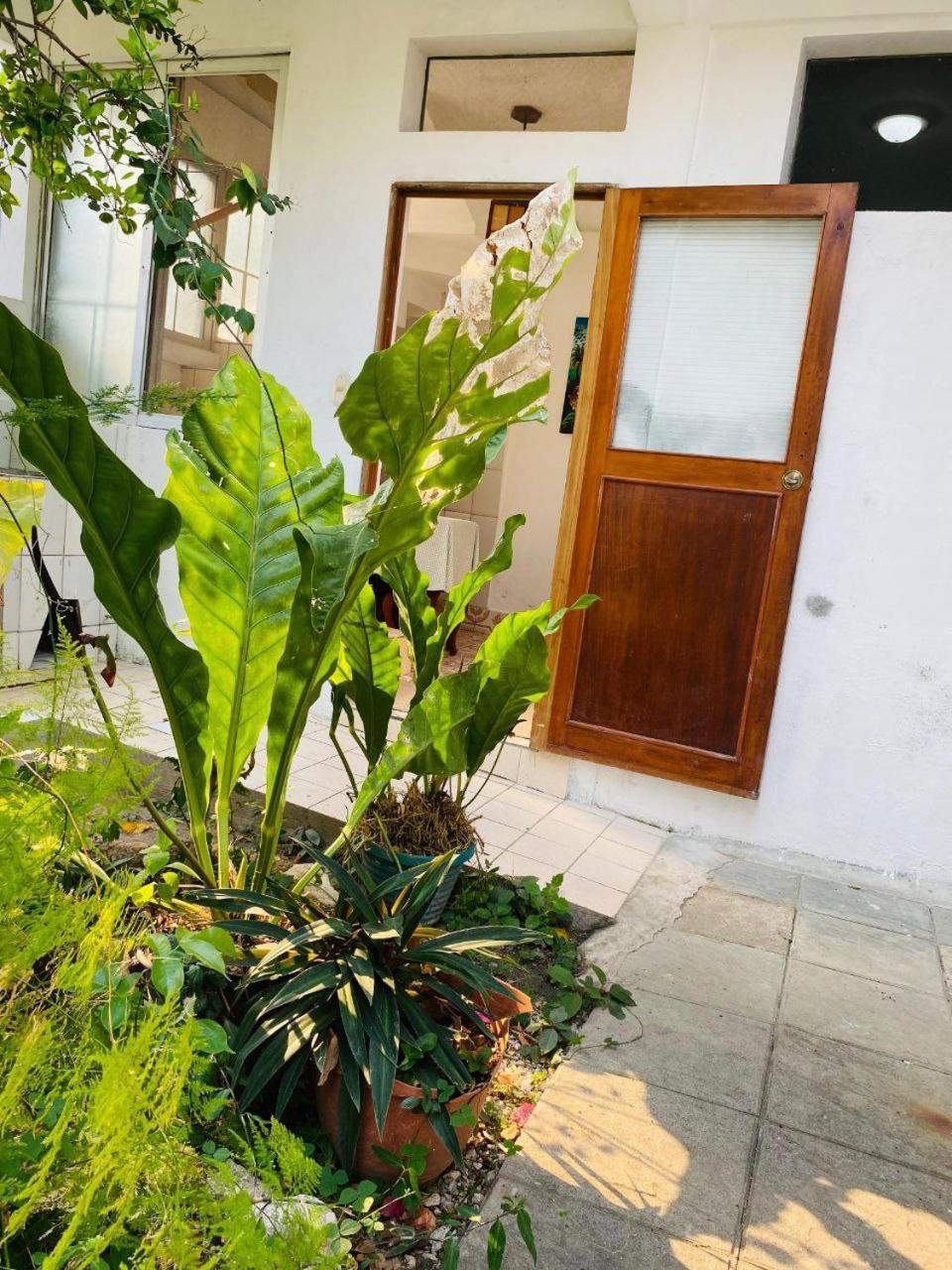 Casa Mima Hotel Flores Eksteriør billede